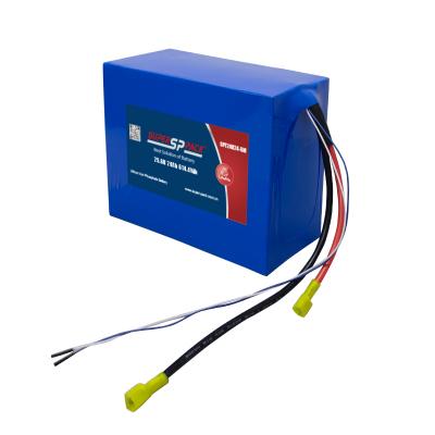 24V 20Ah LiFePO4-batteripaket